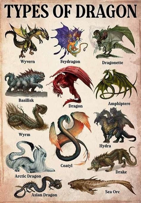 Top Dragon Types That Can Benefit From Breaking .